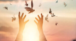 تیزر پویش ستاد مردمی دیه استان تهران